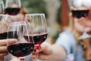 Da Durres Golem: Castello di Capo Rodon e degustazione di vino