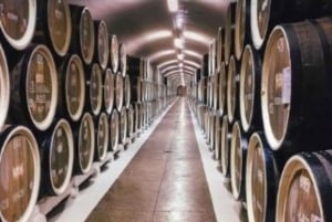 Da Durres Golem: Castello di Capo Rodon e degustazione di vino