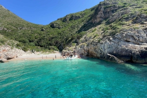 Da Durazzo/Golem: tour in barca alla grotta di Sazan & Ali e Karaburun