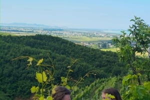 From Durrës/Golem: Vineyards, Wine Food Tasting & Boat Tour