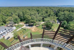 Da Durazzo: Laguna di Karavasta e tour dell'antica città di Apolonia