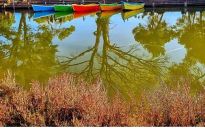 Da Durazzo: Laguna di Karavasta e tour dell'antica città di Apolonia