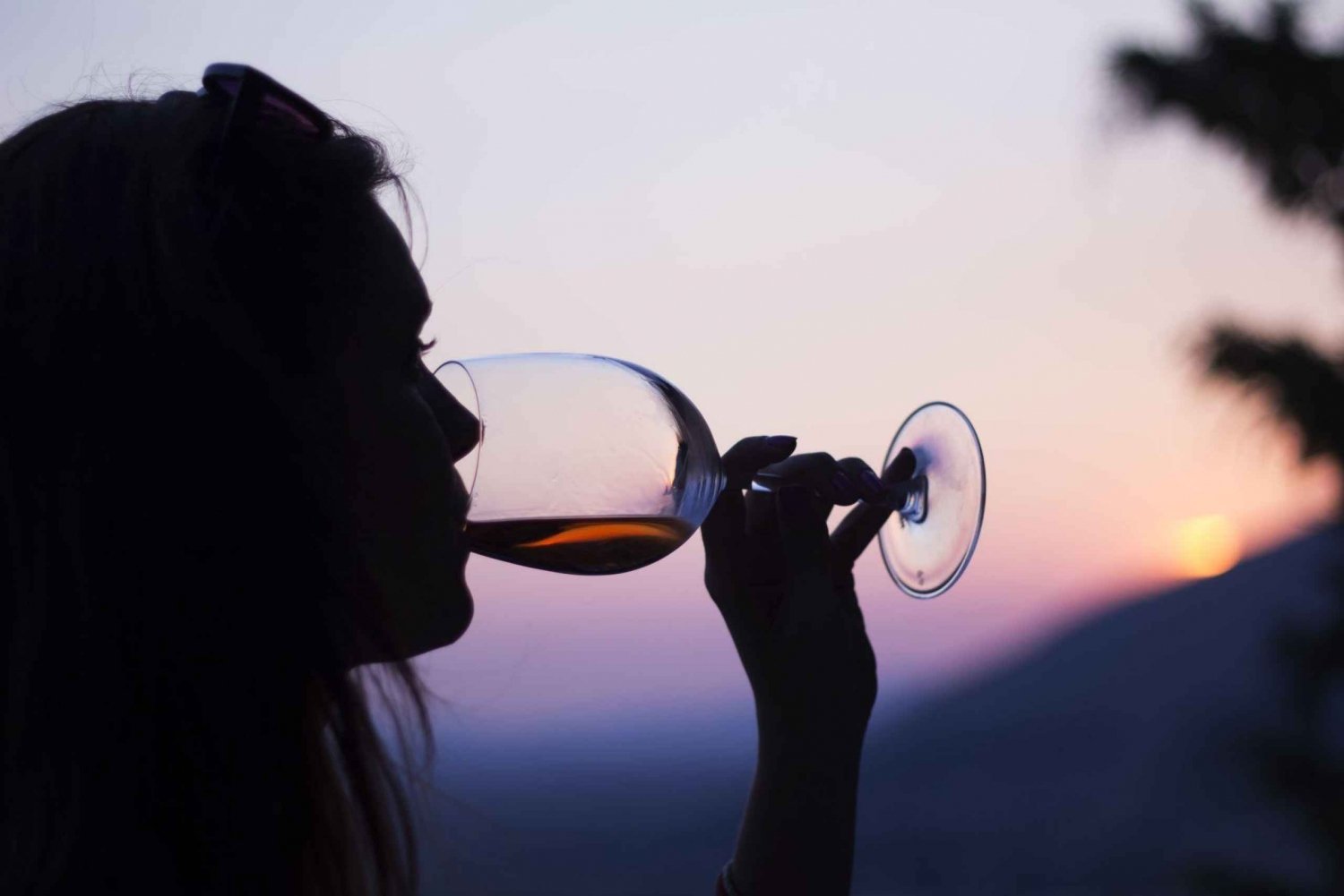 Wine tasting in Durrës