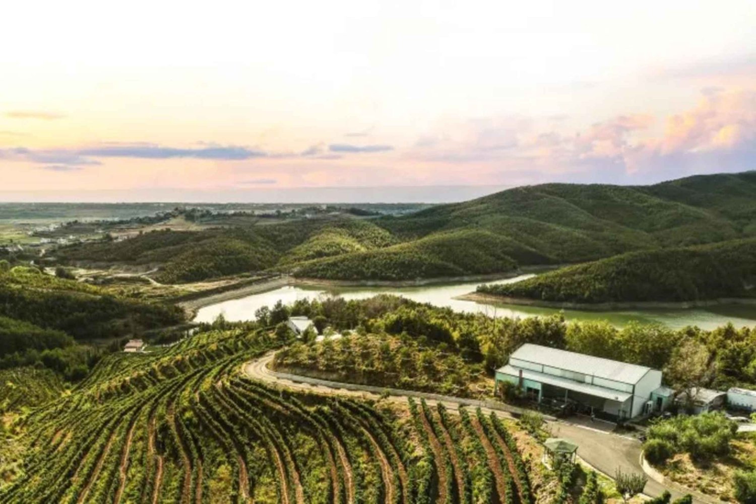 Au départ de Durrës : dégustation de vins à la cave Duka