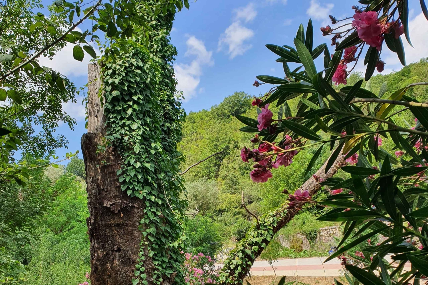 From Gjirokastër: Blue Eye & Hadrianopoli Guided Tour
