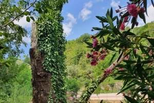 From Gjirokastër: Blue Eye & Hadrianopoli Guided Tour