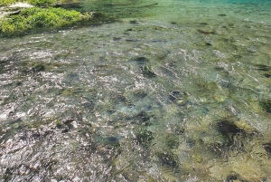 From Gjirokastër: Blue Eye & Hadrianopoli Guided Tour