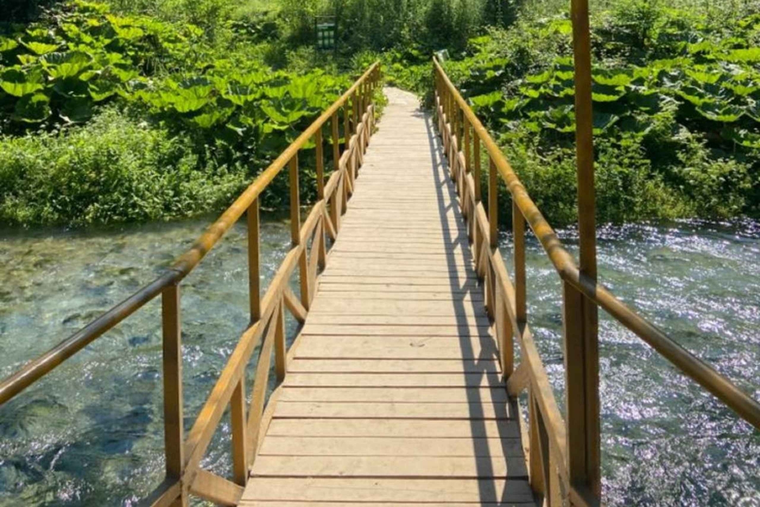 Fra Gjirokastra: Oppdag det fantastiske Blåøyet