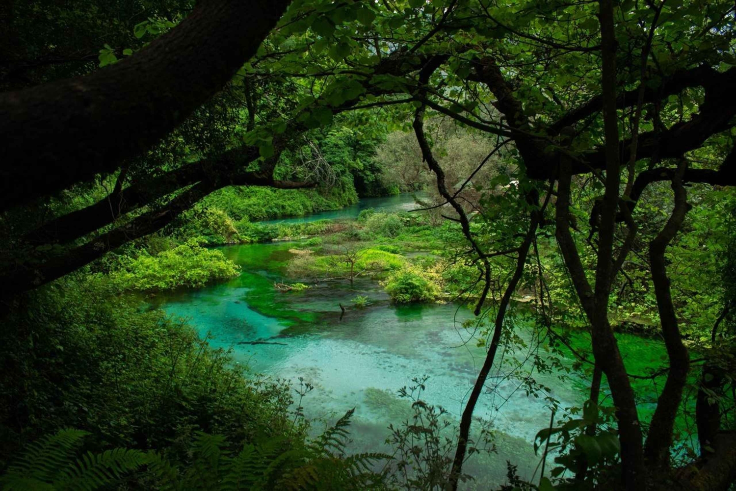 Fra Gjirokastra: Oppdag det fantastiske Blåøyet