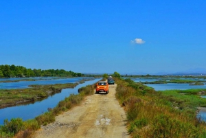 De Tirana/Durres : Circuit 4x4 hors route de la lagune de Karavasta.