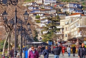 ティラナ/ドゥラス/ゴレム発：ベラト日帰りツアー + ワインテイスティング