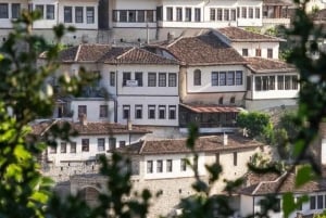 ティラナ/ドゥラス/ゴレム発：ベラト日帰りツアー + ワインテイスティング