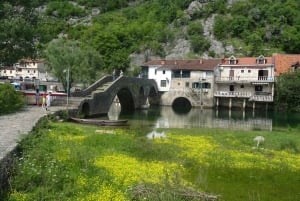 Z Podgoricy: Rijeka, Crnojevica i Cetinje - historia i przyroda