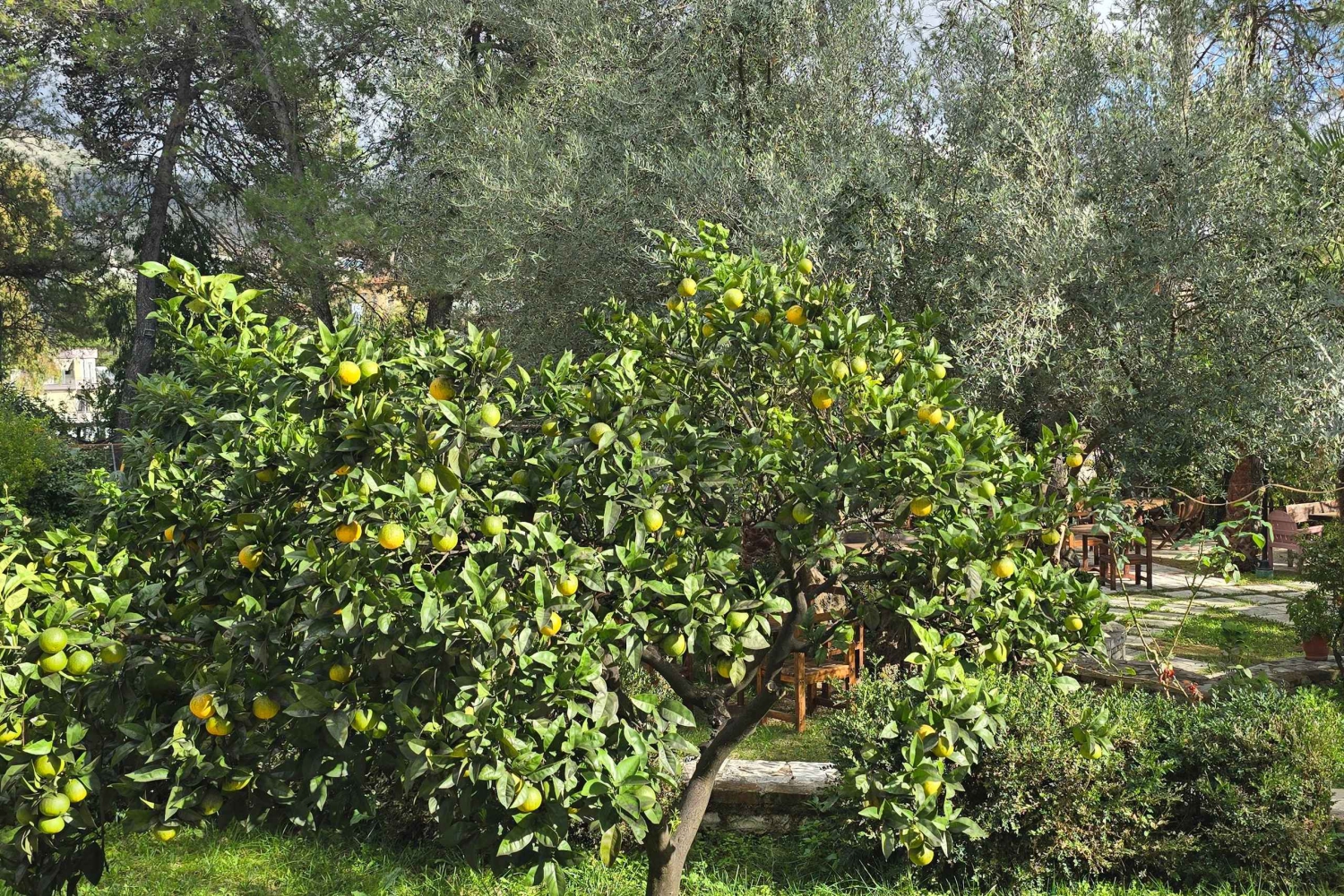 Delvina: gita di 1 giorno con degustazione di vini da Saranda