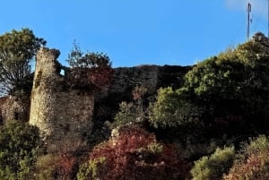 Z Sarandy: 1-dniowa wycieczka do Delviny z degustacją win