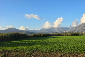 Delvina: gita di 1 giorno con degustazione di vini da Saranda