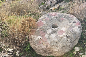 Delvina: gita di 1 giorno con degustazione di vini da Saranda