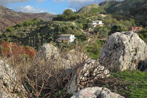 Delvina: gita di 1 giorno con degustazione di vini da Saranda