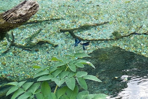 Sarandasta: Luontomonumentti: Tutustu Blue Eye- The Monument of Nature