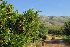 De Saranda à Konispol et Mursi par le canal de Vivari