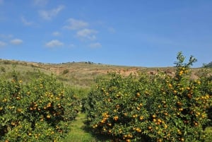 De Saranda à Konispol et Mursi par le canal de Vivari
