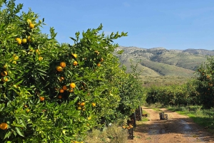 Von Saranda nach Konispol & Mursi über den Vivari-Kanal