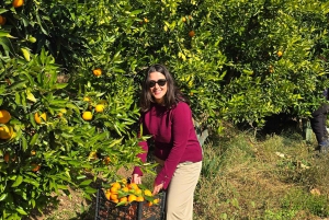 Von Saranda nach Konispol & Mursi über den Vivari-Kanal