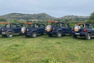 サランド発：オフロード4x4サファリと伝統的なランチ