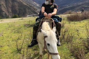 Da Scutari: Tour guidato dell'esperienza della biofattoria