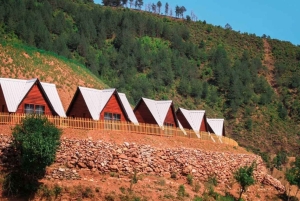 Von Shkoder aus: Komani See Tagestour mit traditionellem Mittagessen