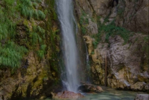 Из Шкодера: тур на целый день с обедом.