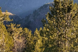 Из Шкодера: тур на целый день с обедом.