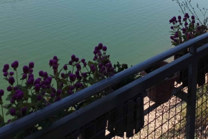 Een dag van Skopje naar Nis Servië Optioneel naar Pristina