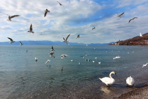 Fra Skopje: Privat heldagstur til Ohrid og Saint Naum