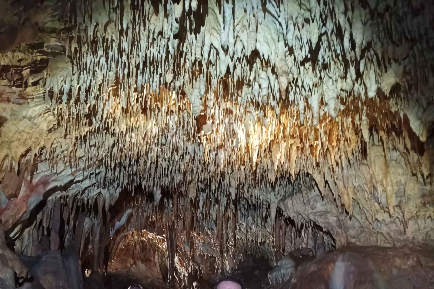 スコピエからプリズレンとプリシュティナ、アルバニアのオプト・クケス、1日