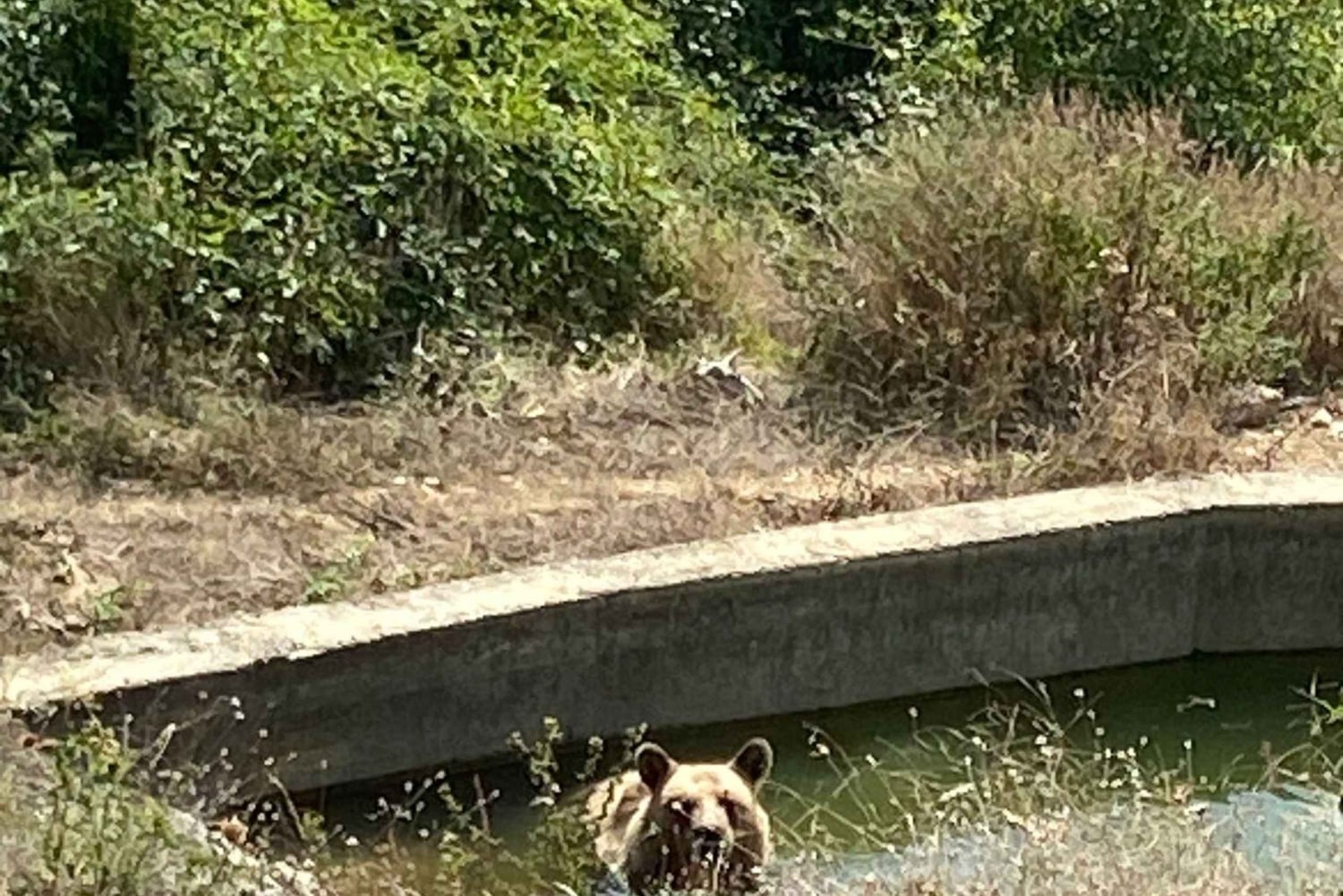 スコピエからプリズレンとプリシュティナ、アルバニアのオプト・クケス、1日