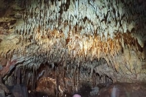 スコピエからプリズレンとプリシュティナ、アルバニアのオプト・クケス、1日