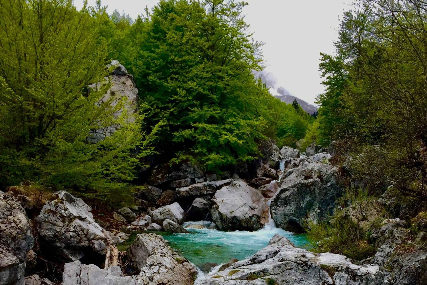 Fra Tirana: 10-dages albansk kulturrejse med guide