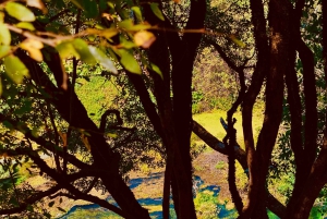 ✨ Z Tirany 2 dni: Saranda i Ksamil + 3 więcej. Hotel (w cenie)