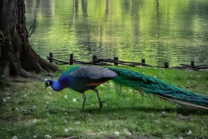 Vanuit Tirana 3 dagen Lin, Ohridmeer, Pogradec en Korça