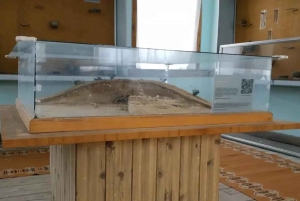 Vanuit Tirana 3 dagen Lin, Ohridmeer, Pogradec en Korça