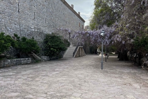 Fra Tirana: 4-dagers tur til Albania og Montenegro