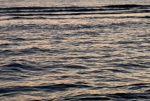 Fra Tirana: 4-dagers tur til Albania og Montenegro