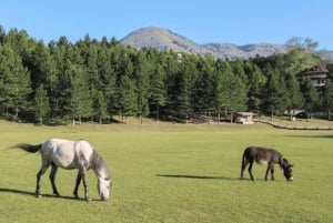 From Tirana: 9-Day Albanian Alps Adventure Tour