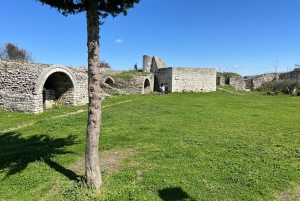 From Tirana: Berat and Belshi Lake Day Trip