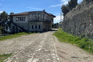 From Tirana: Berat and Belshi Lake Day Trip