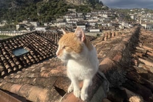 Z Tirany: wycieczka do miasta Berat, jeziora Belshi i łaźni rzymskich