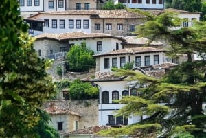 Vanuit Tirana: dagtour naar Berat met toegang tot het kasteel