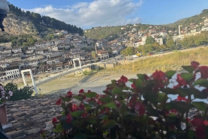 From Tirana: Berat Exploring Tour, Belshi Lake & Agrotourism