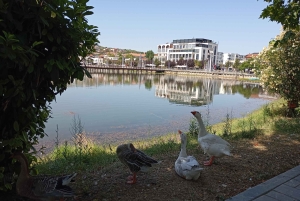 From Tirana: Berat Exploring Tour, Belshi Lake & Agrotourism